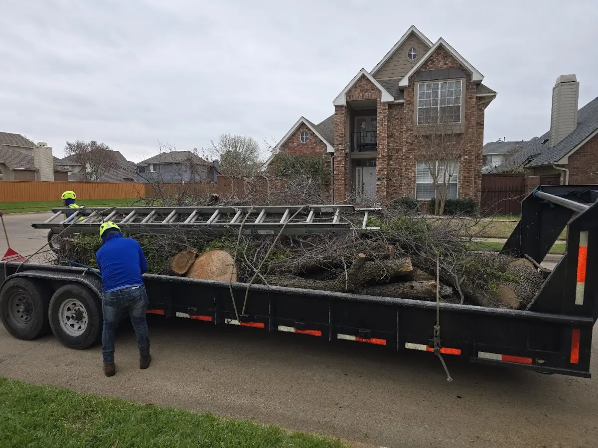 Expert Tree Fertilization with proper safety equipment in Clemons